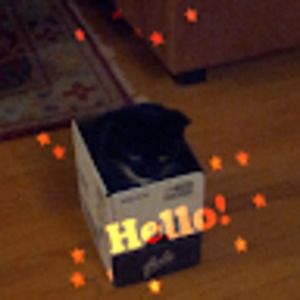 Meet your Posher, Emelie